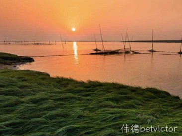 2017年.3.25 公司与台州人民政府签订“年加工10万吨精致大米及仓储物流种植体质项目合同书”
