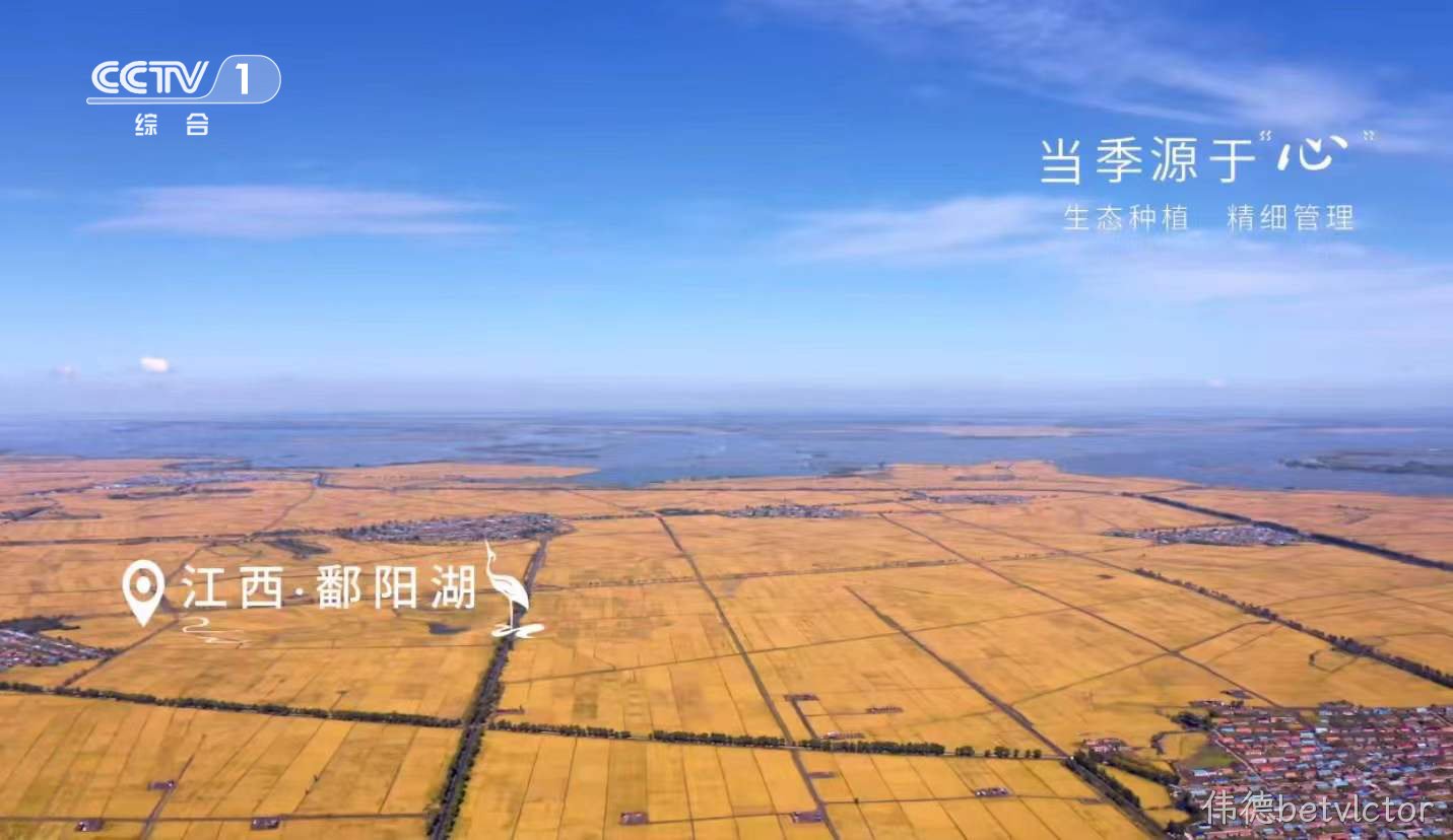 伟德betvlctor大米屏霸广告突围春节档，看企业如何助力品牌出圈，实现营销升级！