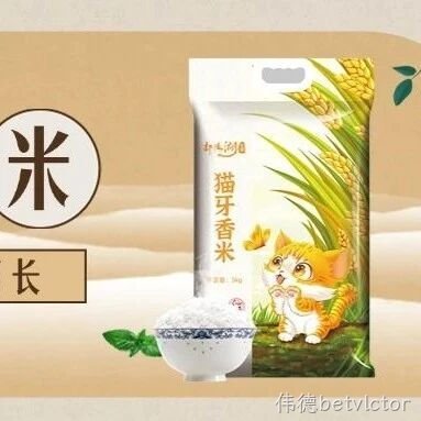 喵~细长软糯的爆款猫牙香米来了