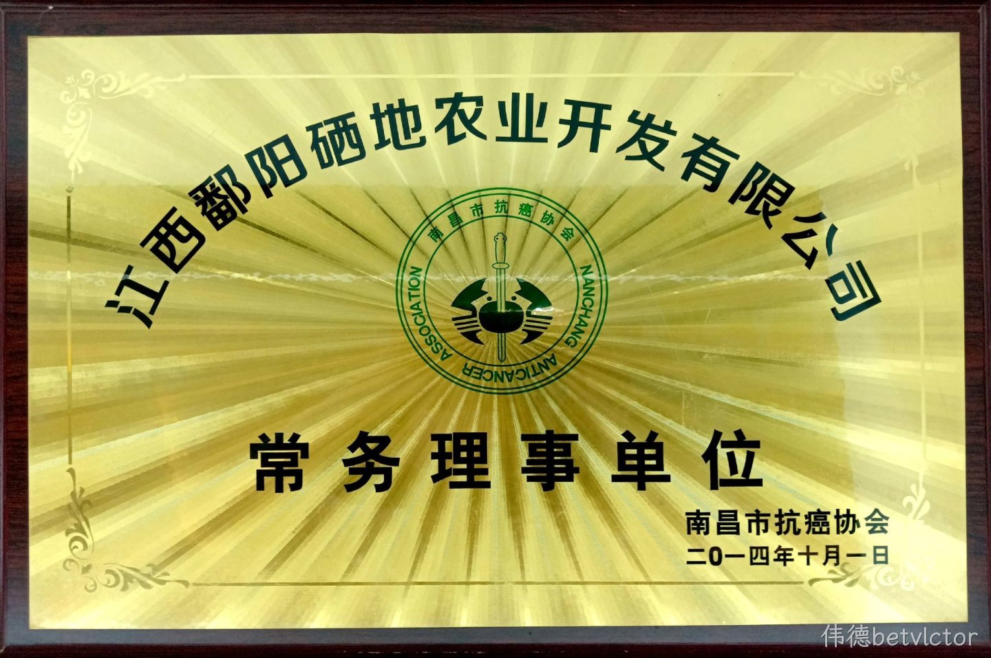 抗癌协会常务理事单位