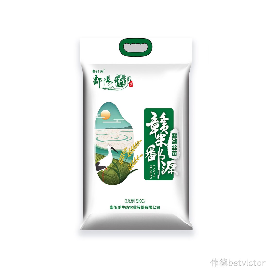 台州丝苗