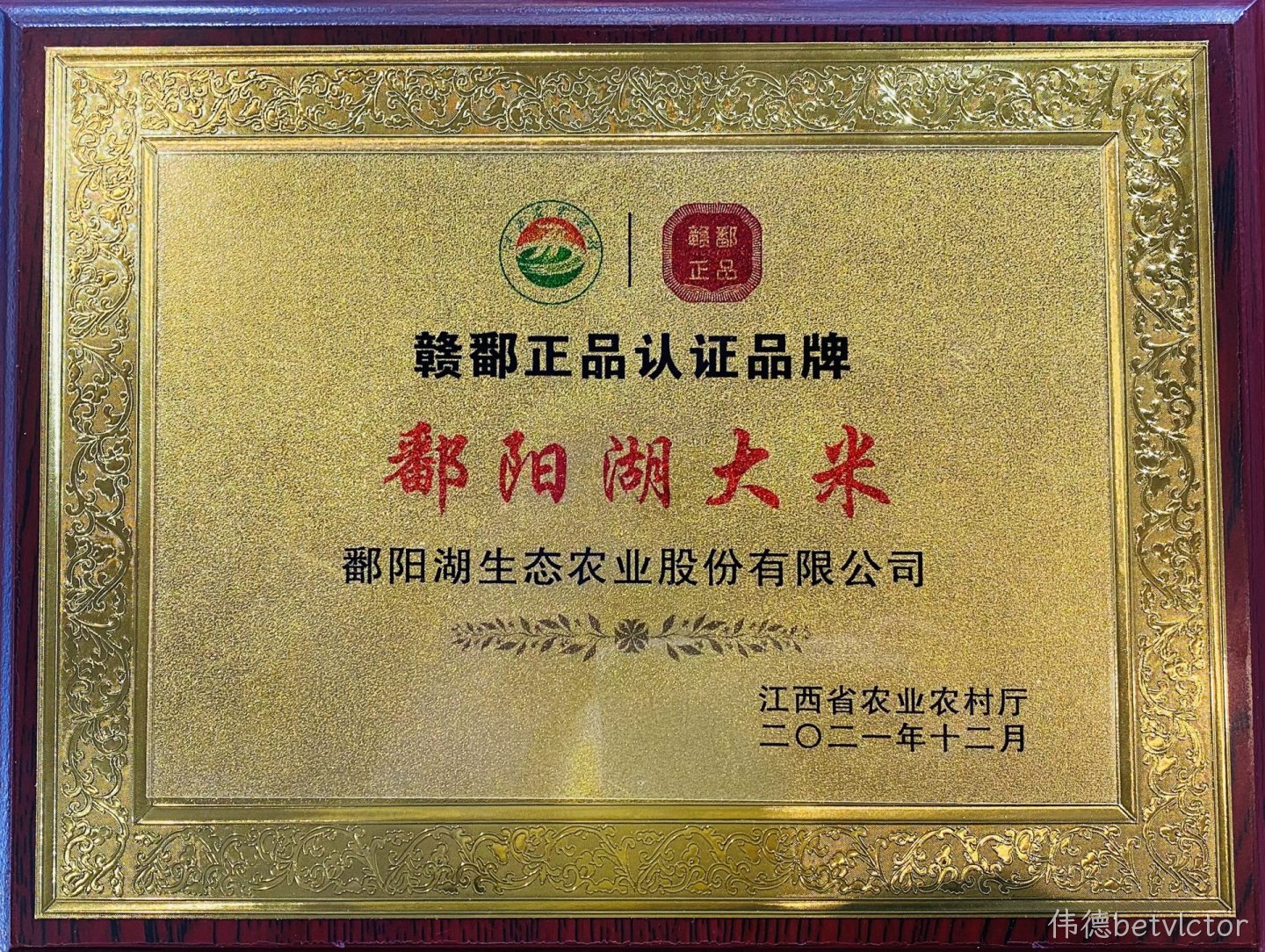 浙江正品认证品牌